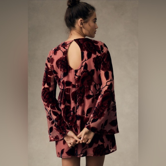 ANTHROPOLOGIE HUTCH Long Sleeve Velvet Mini Dress XS Burnout Floral Pink Pattern - Picture 3 of 16